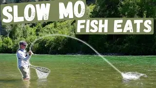 SLOW MOTION Fish Eats! Slow motion FLY FISHING, CASTING, and HOOKING fish on DRYS! Snake River Day 3