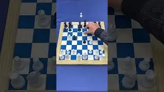 Counter the reverse queens gambit #chess #siciliandefense #chesscom #chesscommunity #chesspro