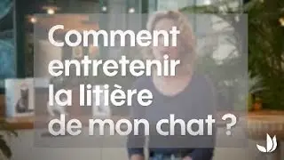 Comment entretenir la liti&egrave;re de mon chat ? - Truffaut