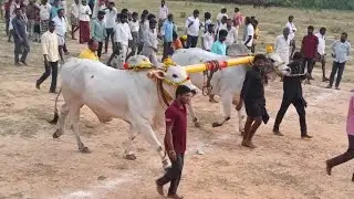 గోపవరం సేద్యపు విభాగం,8వ జత,లెనిన్ ఎంటర్పైజెస్,(చిన్న జత)పొట్టెపాలెం,నెల్లూరు జిల్లా