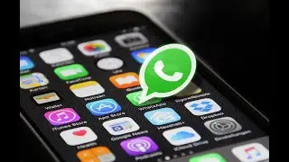 WhatsApp data breach: Are you affected? Check now