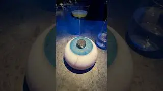 Trying A $2000 Tasting Menu