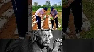 What if Lab - Physics