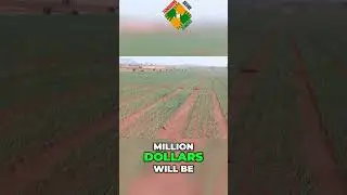 Investing in Zambia's Agricultural Development  A Game Changer for Economic Growth