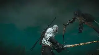 Arch Griffin combat, No HUD, No Armour, Toxic Alchemy Built... #witcher3