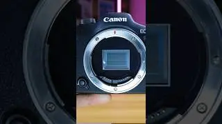 Canon R7 High Speed Shooting Capabilities #canonr7 #r7 #highspeed #kaicreative