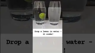 ✨science experiment :   🍋🍋&zwj;🟩 lemon floating and sinking✨