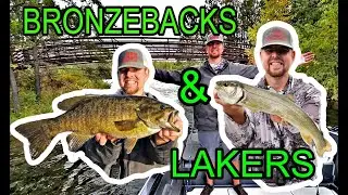 Smallmouth Bass and Lake Trout (Central MN)