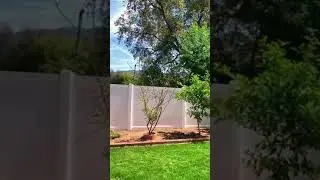 Unique Backyard Wedding Decor Ideas 😍/#shorts #short #weddingbells /Wedding bells