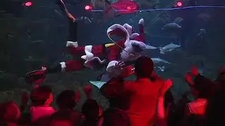 Santa Claus goes underwater