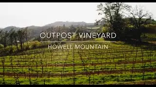 Outpost vineyard on the higher slopes of Howell Mountain in Napa Valley,