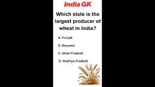 India's Wheat Powerhouses: The Top Producing States#india
