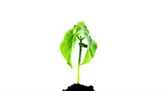 Sprout 360 - Introduction