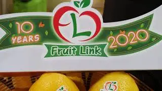 Announcing of starting eureka 🍋 Lemon #Egypt