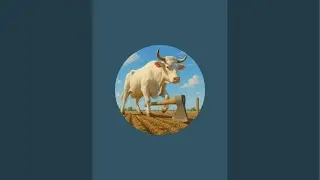 Cartee Animation  is live