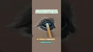 3 TIPS on how YOU can draw REALISTIC ANIMAL EYES!