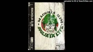 Magnolia Slim - Kick It For Dem Hoes