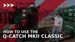 How to Use Our Q Catch MKII Classic Crush