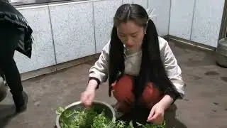 贵州野菜到处都是，横店凤姐挖了很多，煮好全家人吃得非常开心