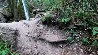 Žumberačko gorje, Sopotski slap, Slapnica ..23.07.2022. @lakiilily