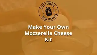 Mozzarella & Ricotta Cheese Kit NYT Feature