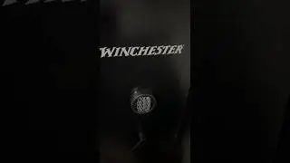 Winchester 20 Gun Safe⚠️⚠️⚠️ &ldquo; Caught It On SALE!!!!  #gun #gunsafety#gunsafe#lockdown###lockdown