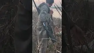 Duck 🦆 Hunting