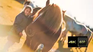 🆂🆃🅰🆃🅴🅺 🅿🅾🅻Ž🅾🆅❤️ | 4K 120P