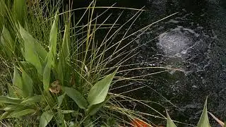 Matala Pro 3 Plus complete pond aeration kit