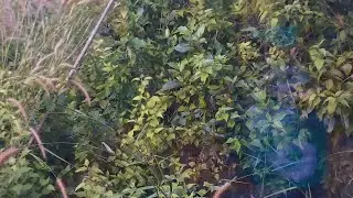 thivium to madgao train route. train delayed by 12 hours! JBP - CBE special train