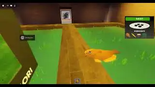 i almost won scary sushie ASMR