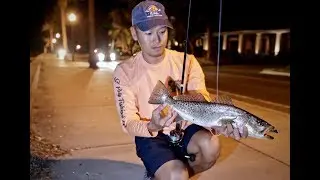 FISHING THE DOCKS FOR GATOR TROUT AT NIGHT - THEY CANNOT RESIST THIS SWIMBAIT