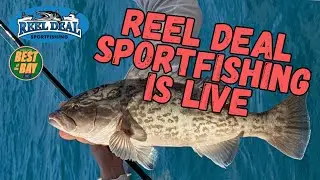 Reel Deal Sportfishing is live!