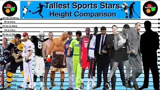 Height Comparison | Tallest Stars in Different Sports
