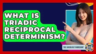 What Is Triadic Reciprocal Determinism? - The Sociology Workshop