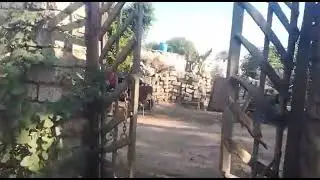 مفاجأة اسنيت وكفر شكرللبيع 3 قرايط بكفر شكر بعقد أخضر  للتواصل والاستفسار0922523445