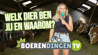 Spannende outfits & koeien cheerleader | BoerenDingen TV