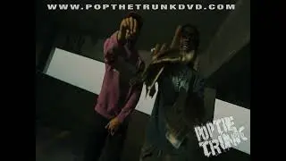Bermuda De X Kiree 3600 - Zombie (MV)