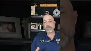 Moving to Mexico with Pets  Easy Vet Access! #movetomexico #lapazbcs #doglife