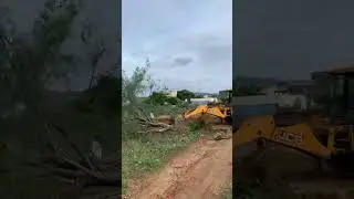 JCB Uproots Giant Tree in One Move! 💪🌳 #JCB #Shorts #HeavyMachinery #TreeUprooting #DesiPower