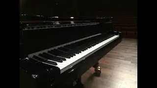 Piano Concert