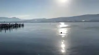 Okanagan Lake View