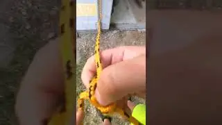 one handed bowline #knots