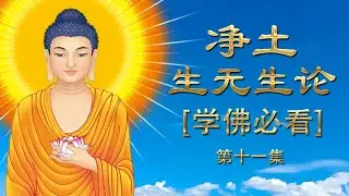 学佛必看《净土生无生论》第11集 此生唯一目标了脱生死。为什么念佛就能够往生？西方极乐世界怎么去？净土法门的修行要领是什么？