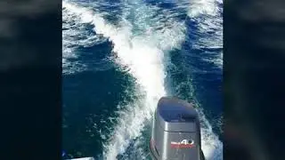 Yamaha 40 cv