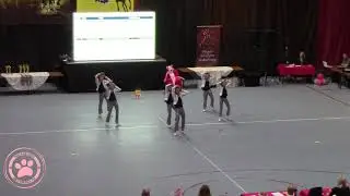Pink Panthers TSE - Géppuskalábúak