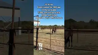 New Year , New Home - 13 Acre Ranch #horse