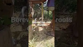 Borewell tree root cleaning