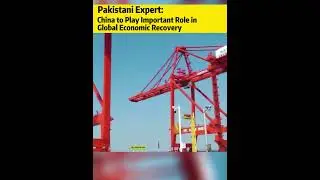 China to play important role in global economic recovery: Pakistani expert #china #economy #shorts