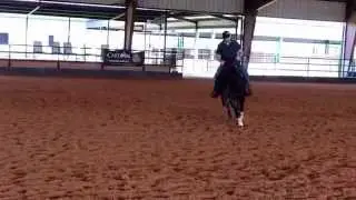 HOT STEPPIN CHIC - 2013 filly by Wimpys Little Step